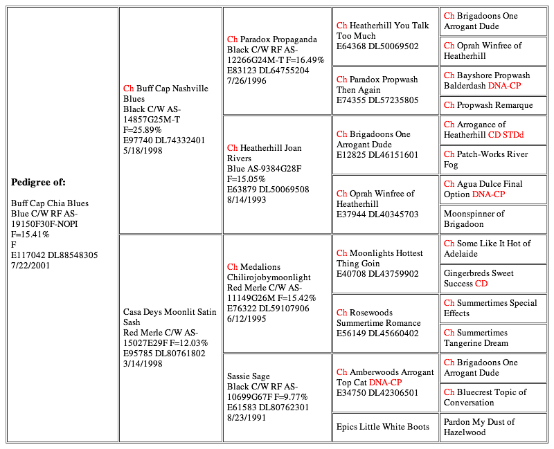 Buff Cap Chia Blues (20130227)