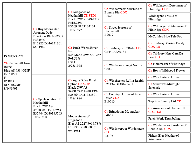 Ch Heatherhill Joan Rivers (20130227)