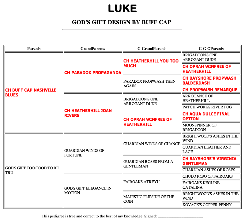 Luke - Pedigree (20130227)