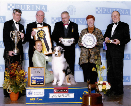 swiizzle web site.jpg