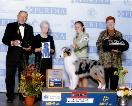 swizzle web site 2.jpg