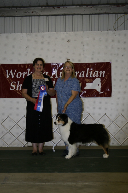 sparkler  2007 015.jpg