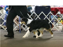  wynona moving web.jpg