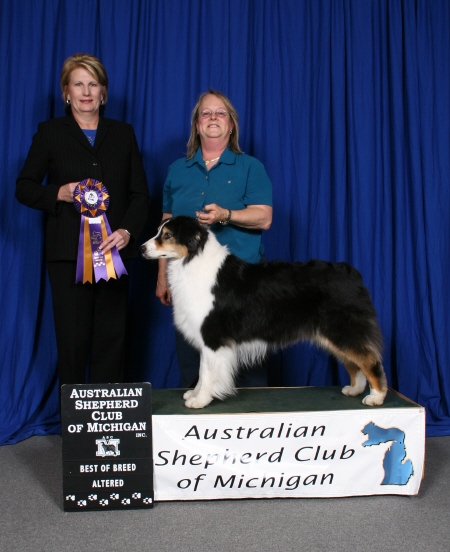 Michigan shows 015.jpg