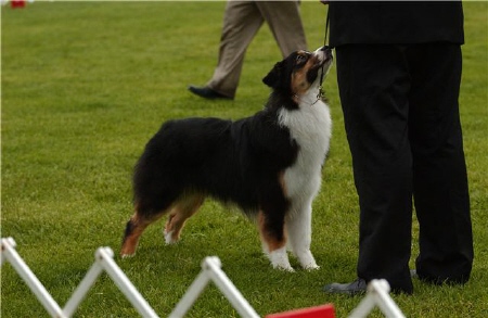 Whisper Nationals.jpg