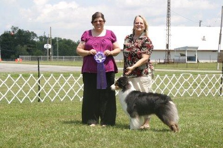 luke-wd-celeste-telles-website