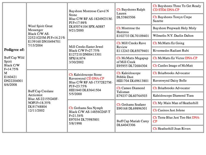 Buff Cap Wild Spirit (20130227)