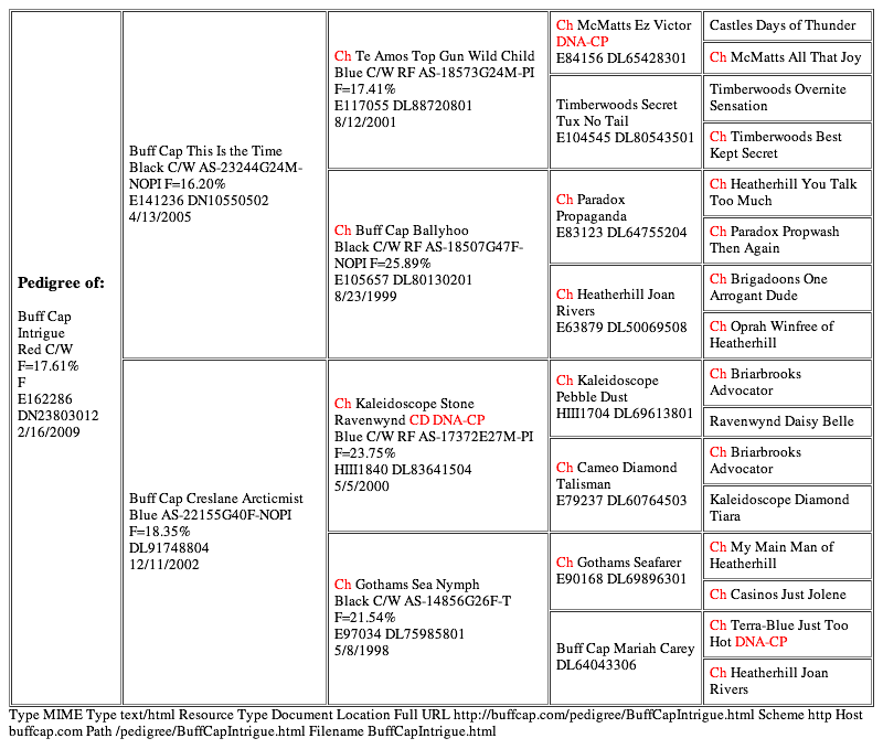 Buff Cap Intrigue (20130227)