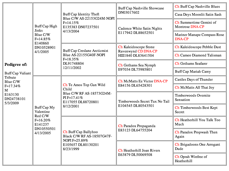 Buff Cap Valiant Tribute (20130227)