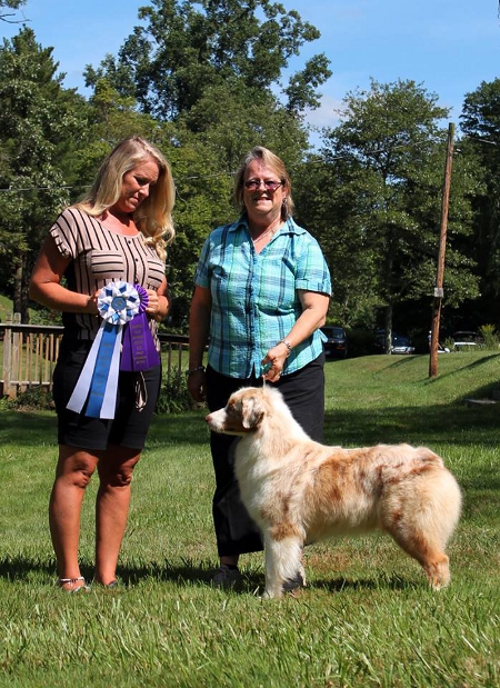 Aada first ASCA points web