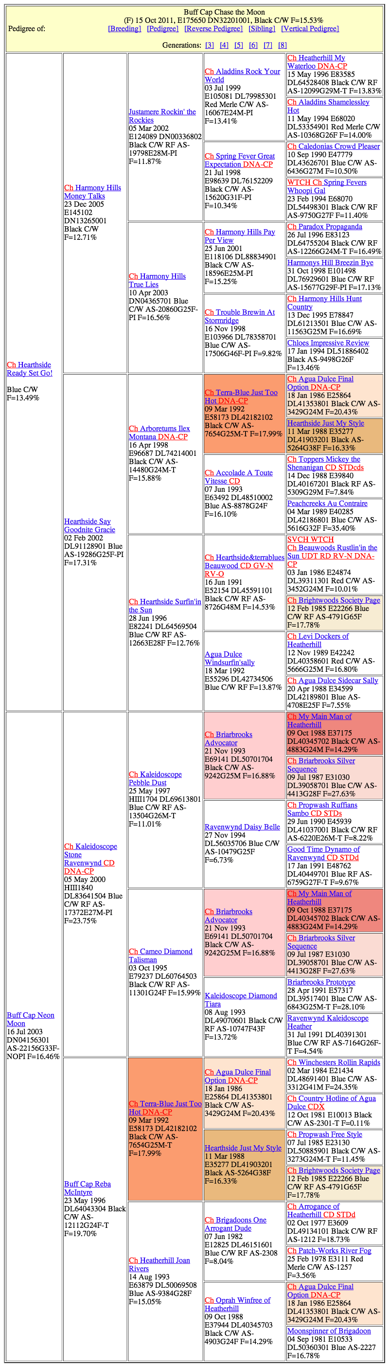 Buff Cap Chase The Moon (Carmen) (20130227)