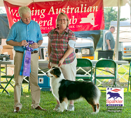 Kristina Tom Coen web