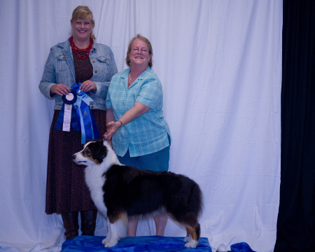 PEN-NY Cent-Sation June 1 & 2 2013 Conformation, Rally, Obedience & Agility