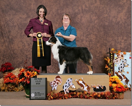 wisconsinnationals third web