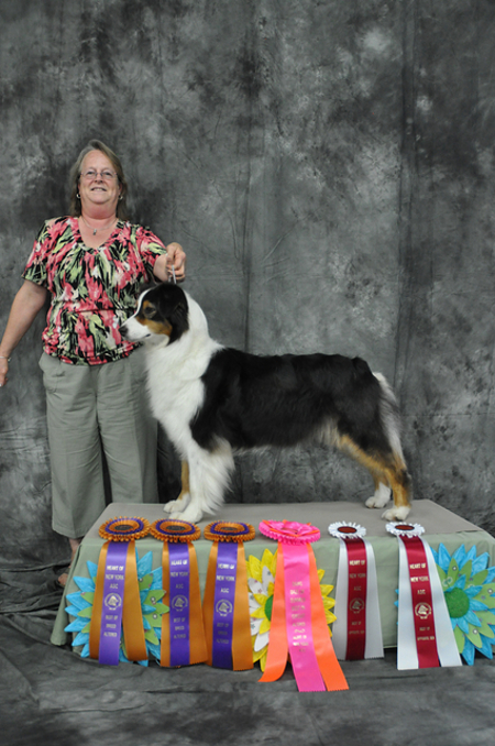 Pebble BIC HONYASC web