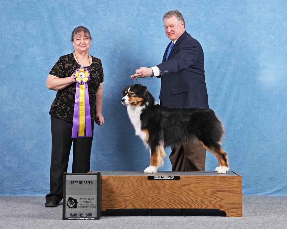 10660092_924433380986067_2632352208176191023_n