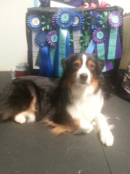 11149336_1076198885741009_2567271050168633117_n