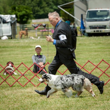 11401058_10204853673525034_989240669326412770_n