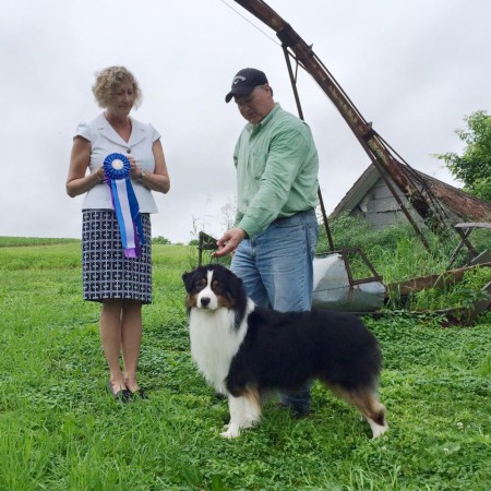 11402670_796547670441306_4241364424655877160_n