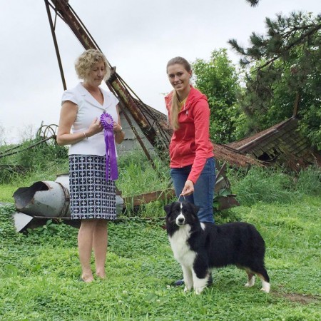 11429674_10153358079507999_404294792249701704_o