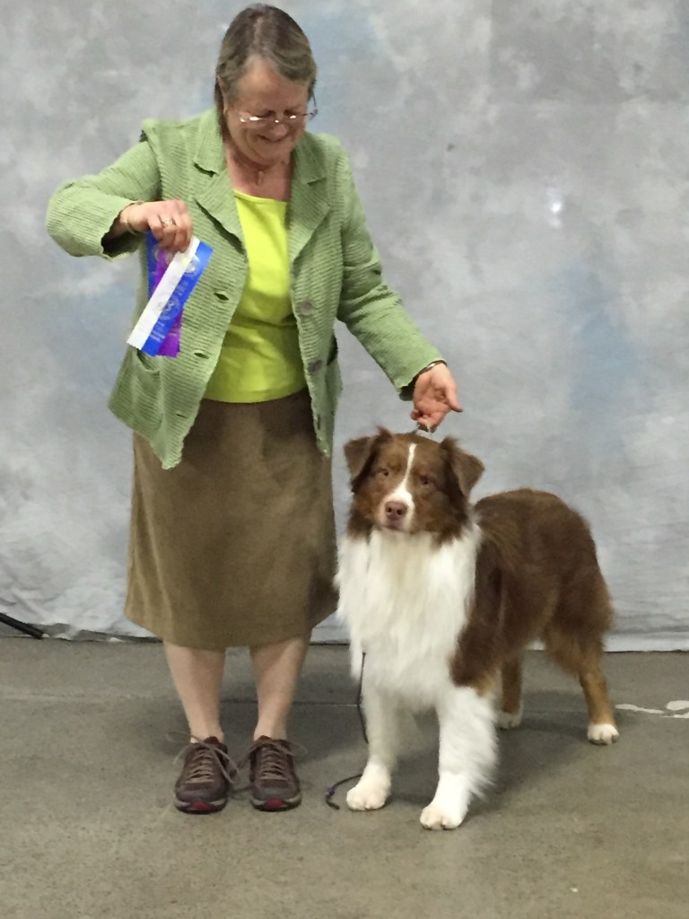 20160207_205032566_iOS