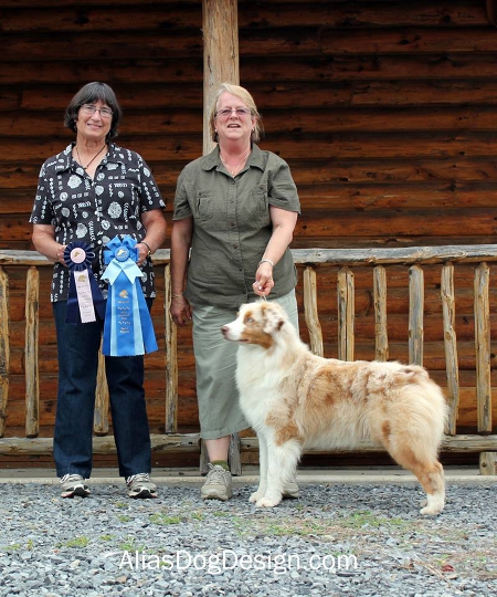 5 point major BOW web