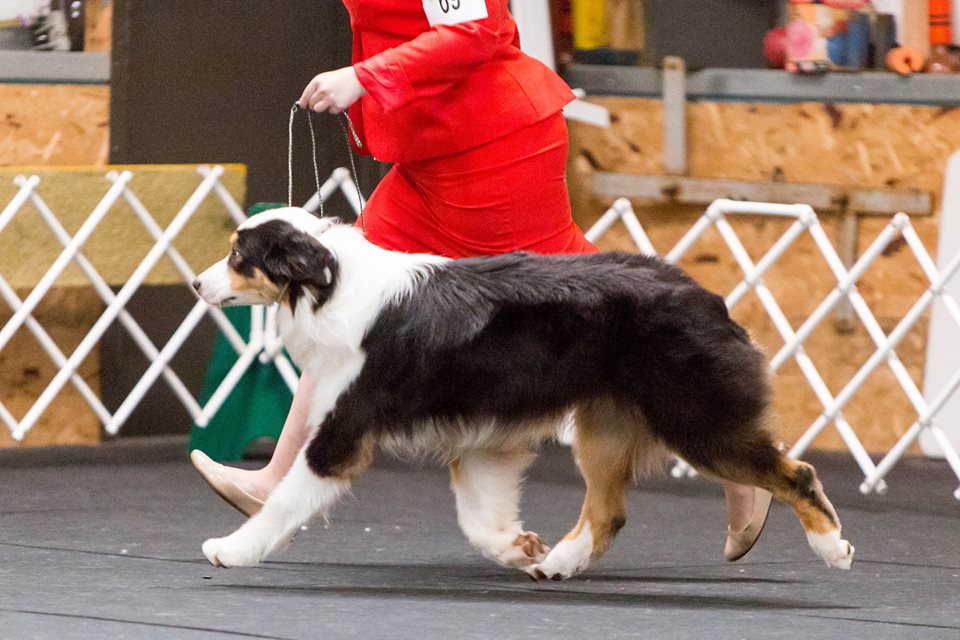 943838_10209157971807099_4709161834510705790_n