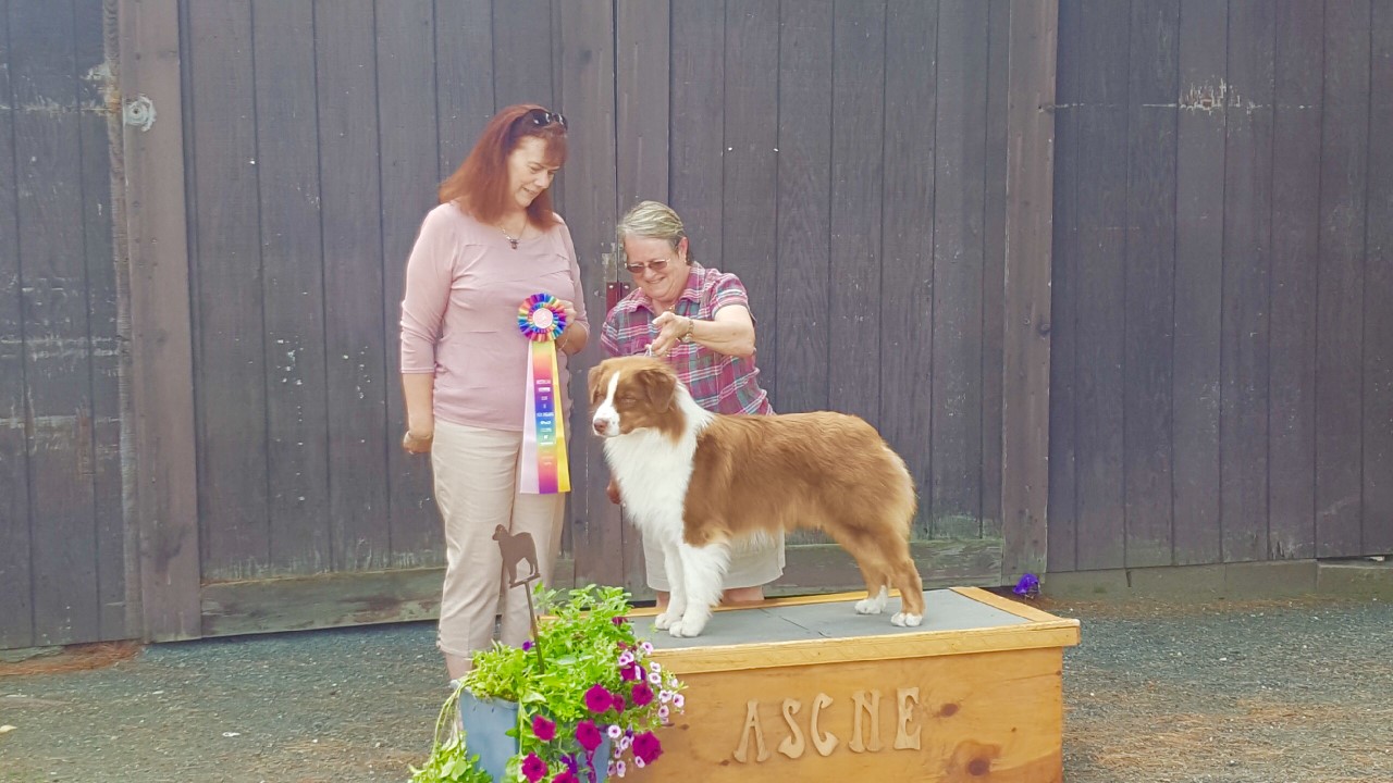 Bero Colors of Summer 2017