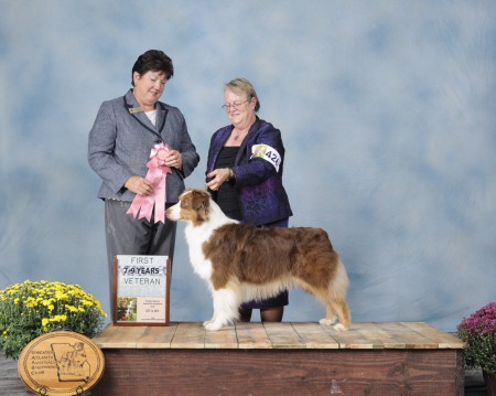 Nationals 2015 Veterans