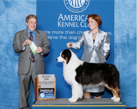 New grand championweb