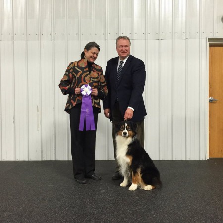 12193392_863295460433193_3714519917072161386_n