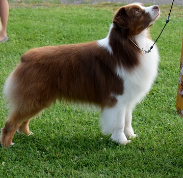 Bero freestack Pen-NY